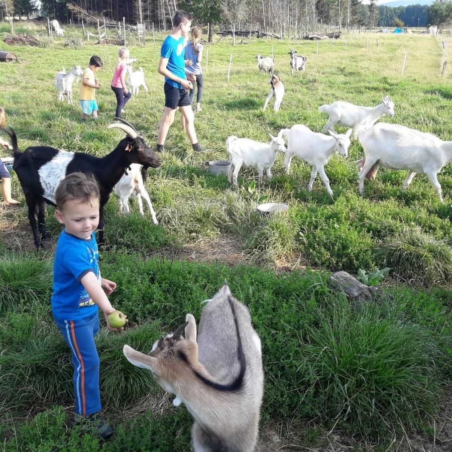 Agroturystyka BRYGADZIAKI Charbielin Zewnętrze zdjęcie